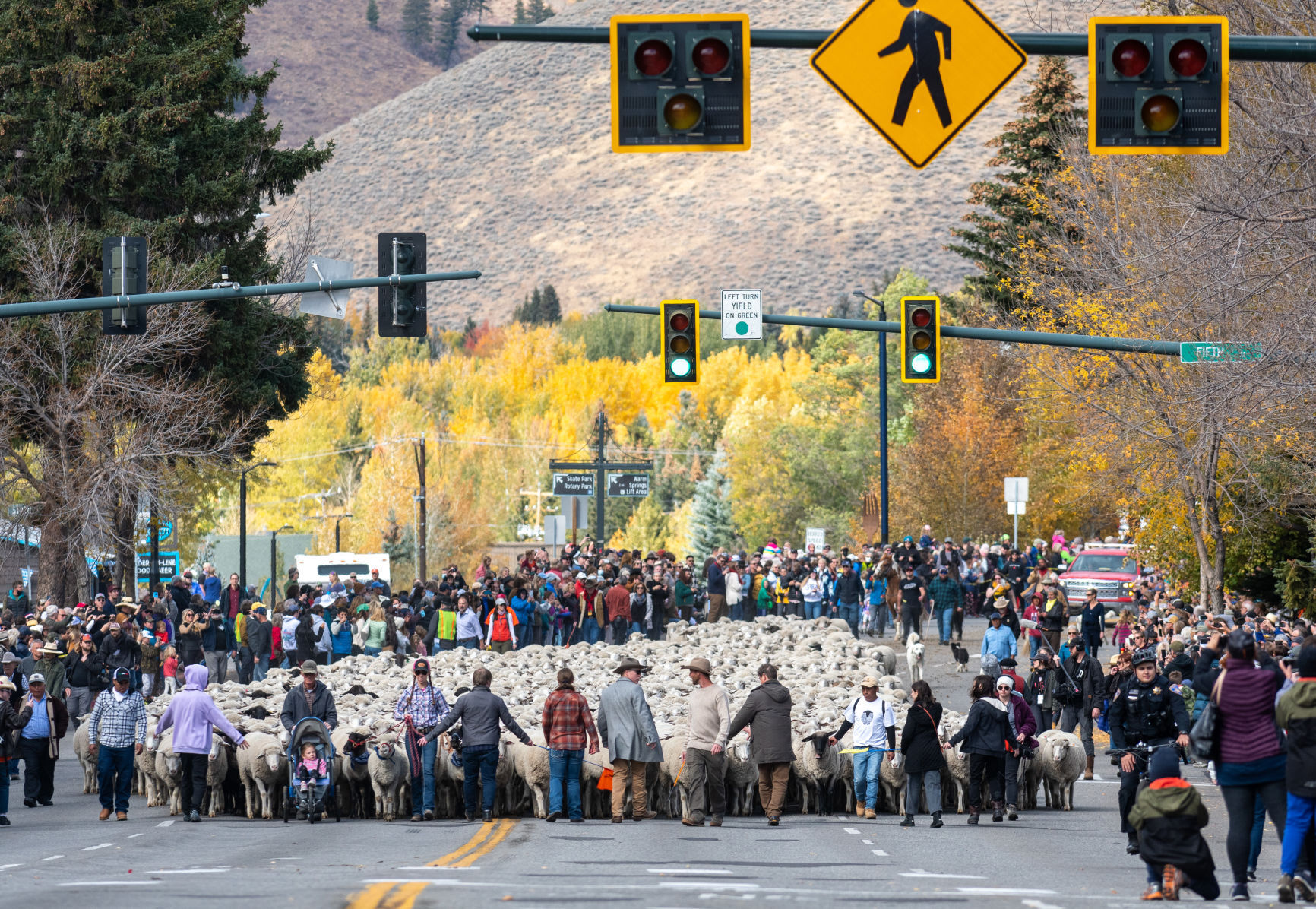 Living Idaho history — Trailing of the Sheep Festival